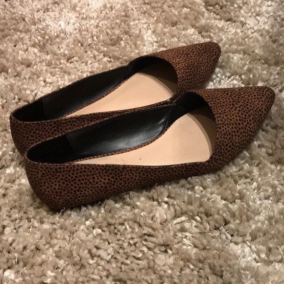 Flats- animal print - Picture 1 of 4